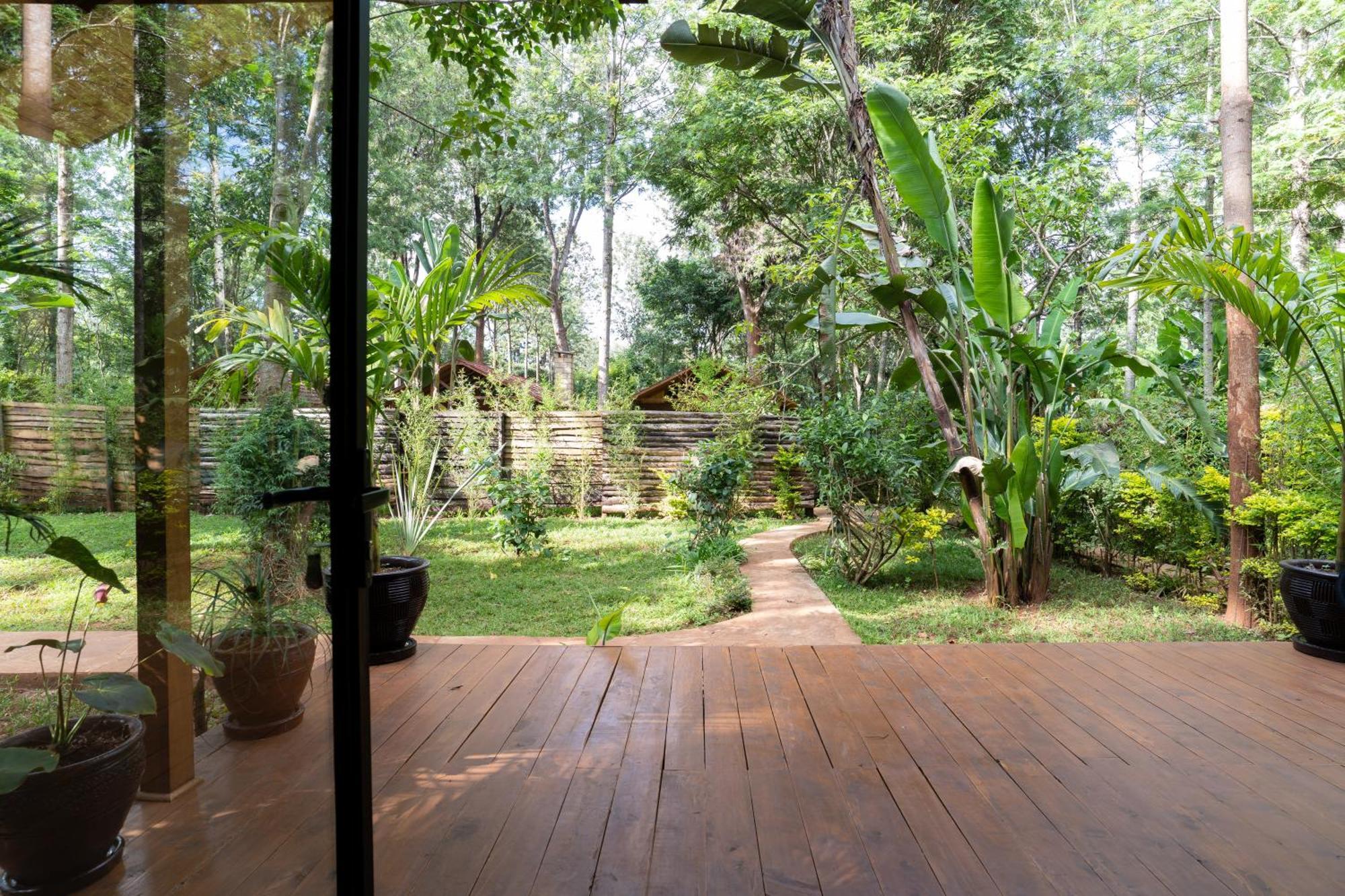 The Jungle Oasis With Heated Pool Apartment Найроби Екстериор снимка