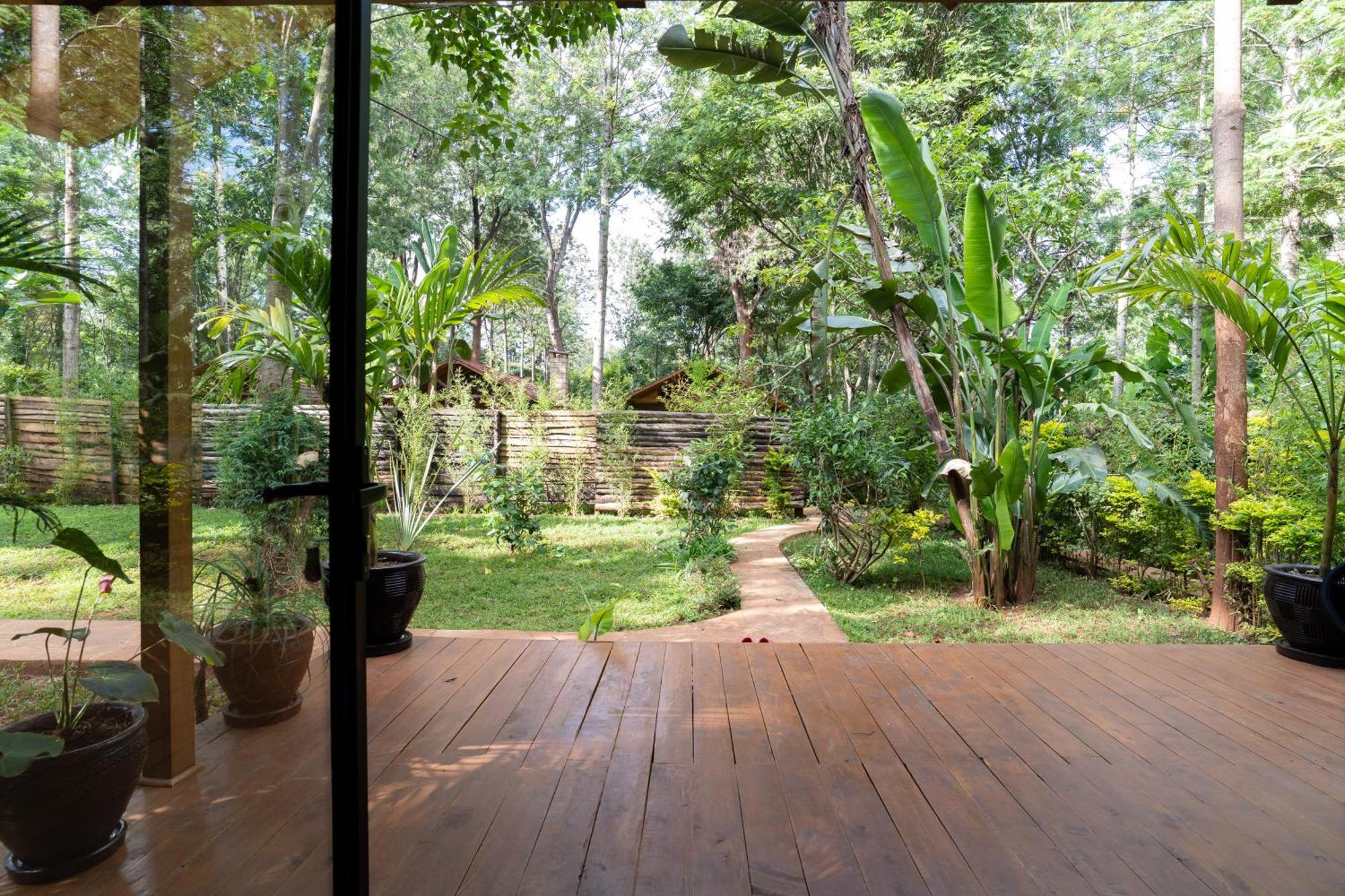 The Jungle Oasis With Heated Pool Apartment Найроби Екстериор снимка